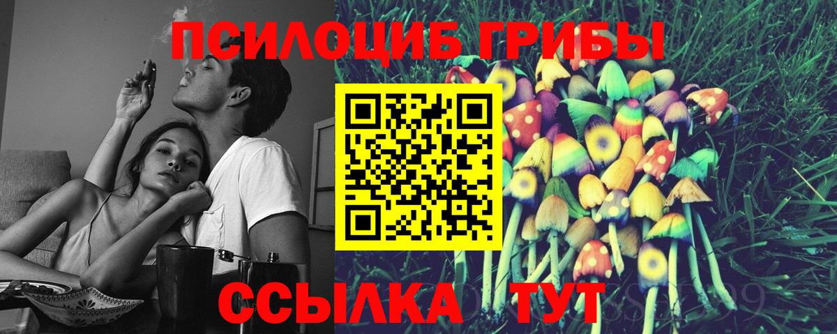 Псилоцибиновые грибы Psilocybine cubensis Коломна