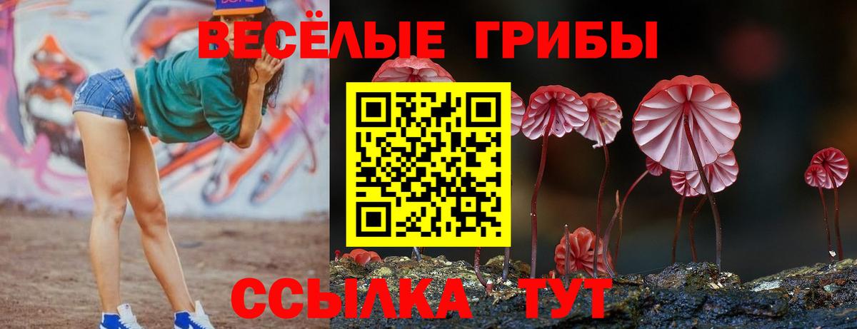 дарнет шоп  Галлюциногенные грибы Psilocybine cubensis  Вход с VPN  Псилоцибиновые грибы мицелий  Коломна 